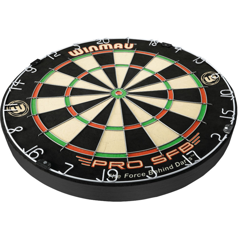Professional dart boards for sale hotsell
